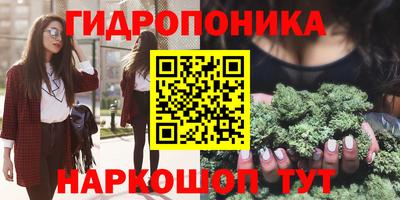 альфа пвп Кингисепп