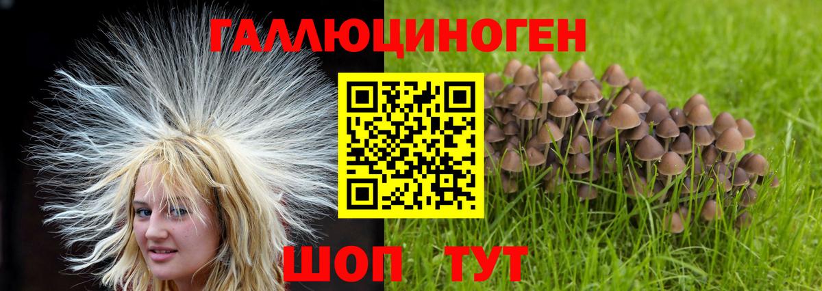 Галлюциногенные грибы Psilocybe Воронеж